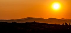 Ein Sommer in Orange