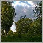 ein sommer tag rodenkirchen ufer köln HDR