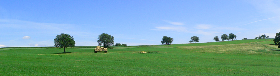 ein Sommer wie damals