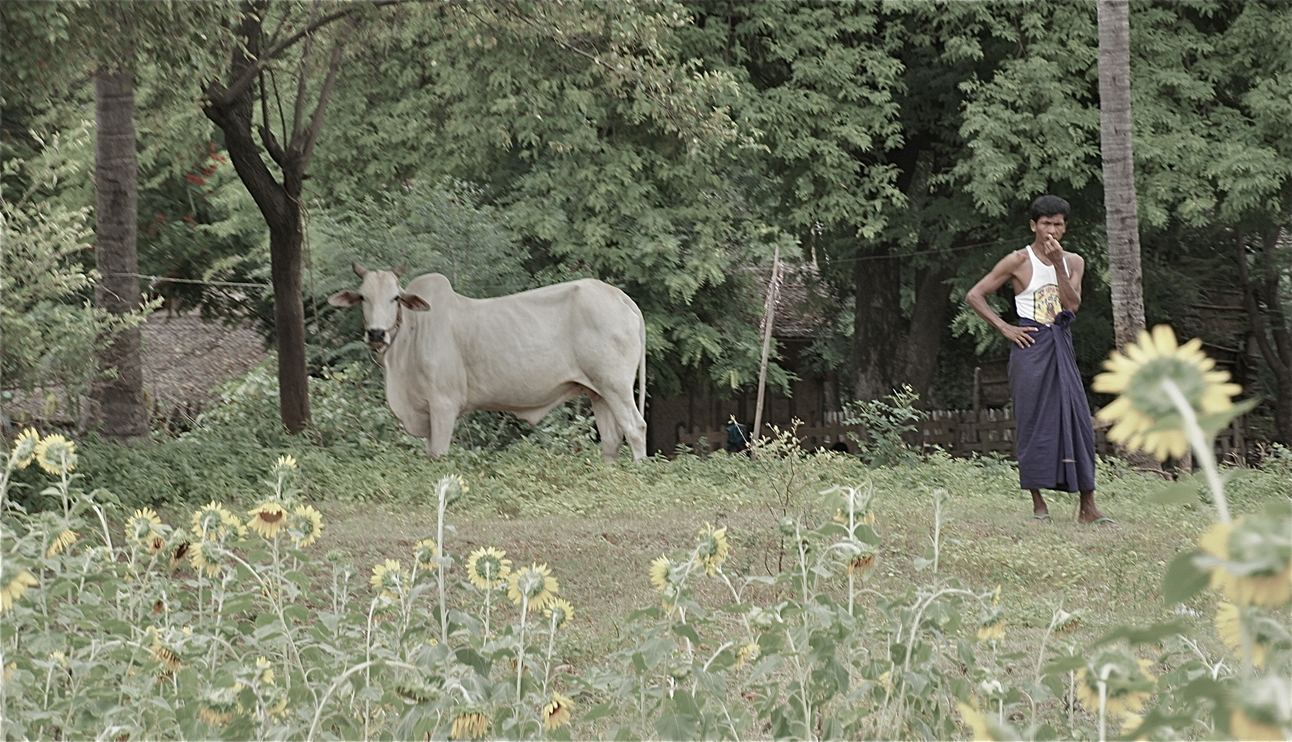 ein sommer wie damals