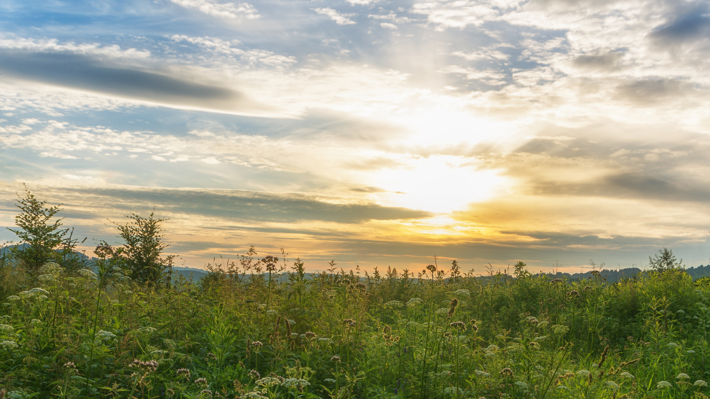 Ein Sommerabend