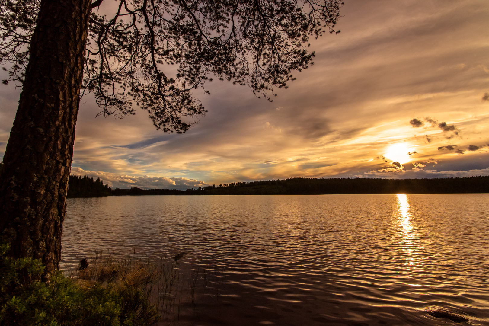 Ein Sommerabend am See...