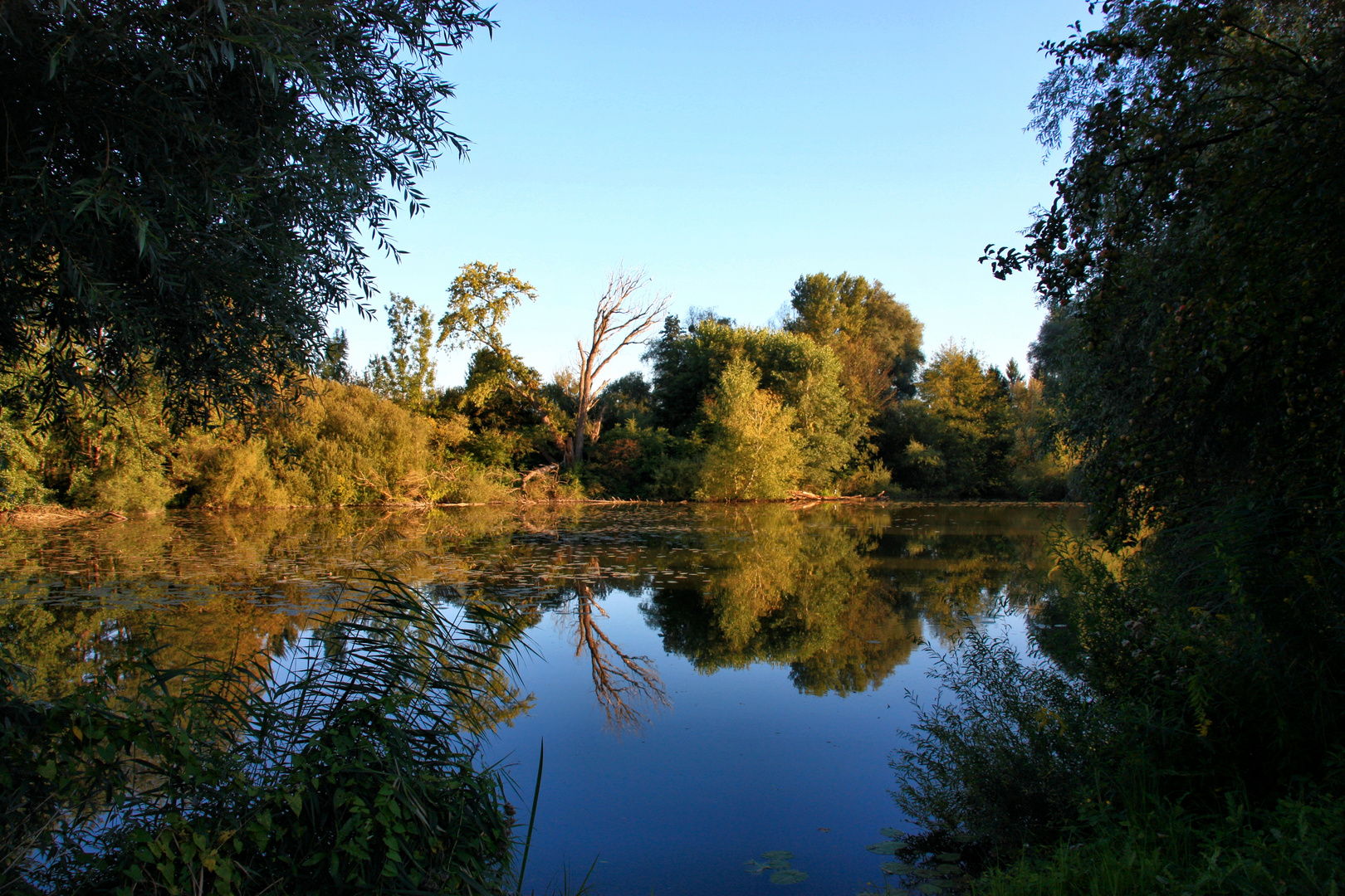 Ein Sommerabend am See in Daxlanden