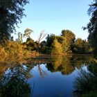 Ein Sommerabend am See in Daxlanden