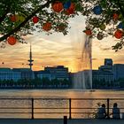 Ein Sommerabend an der Alster