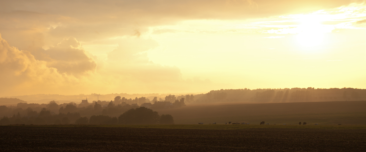 Ein Sommerabend-Bild ...