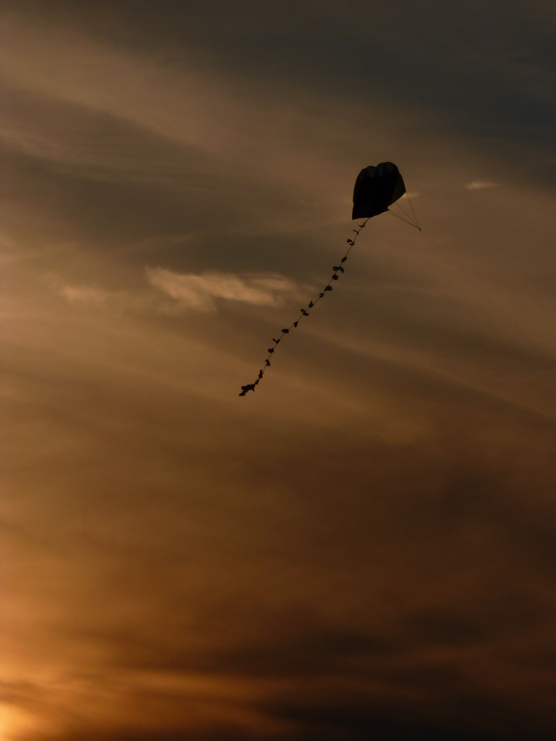 ein sommerabend I