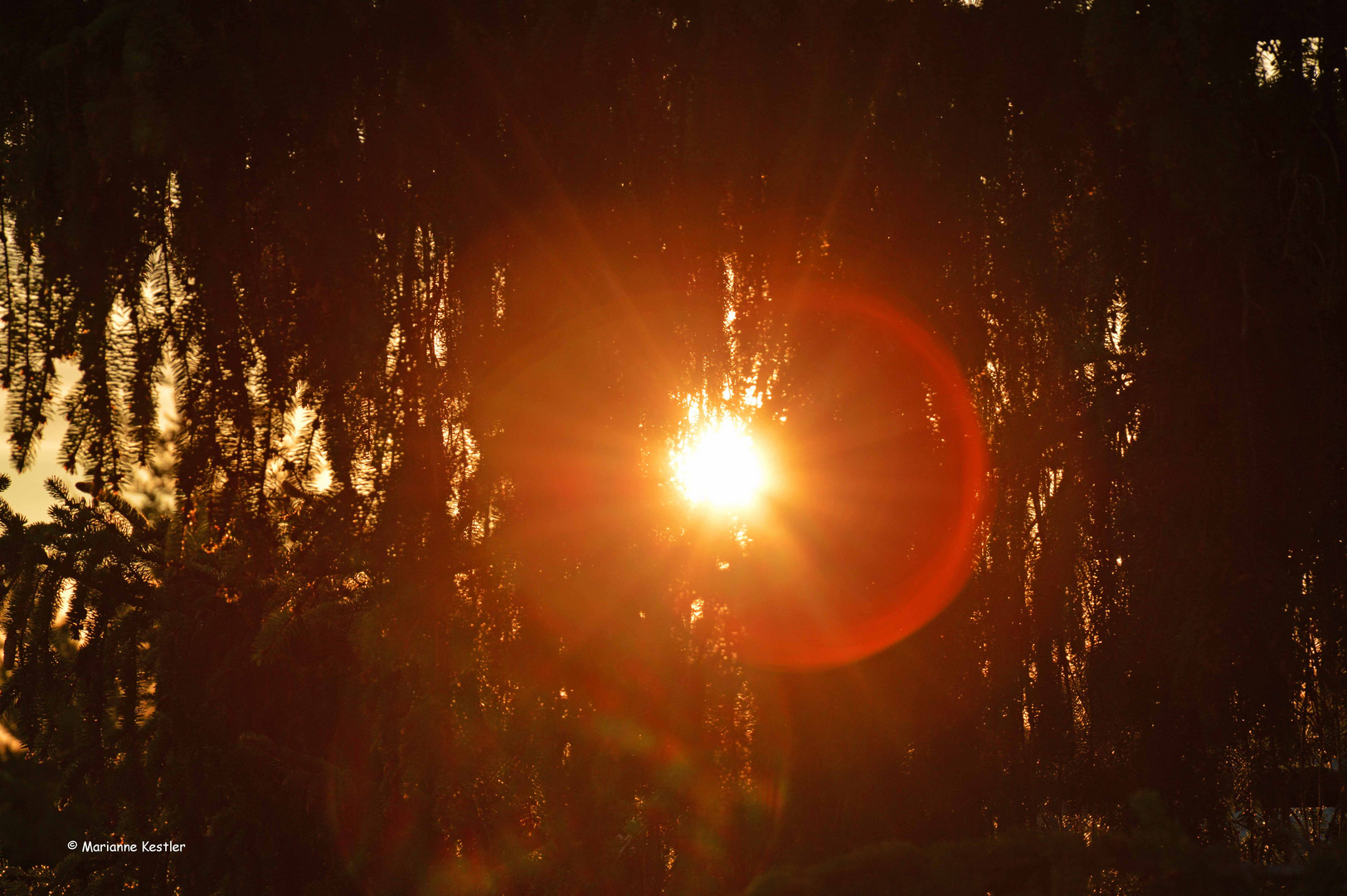 Ein Sommerabend im August