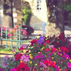 Ein Sommerabendstraum in Hepsisau in der Schwäbischen Alb