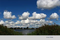 Ein Sommerfoto