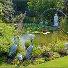 Ein sommerlicher Gruß zum Wochenende aus meinem Garten