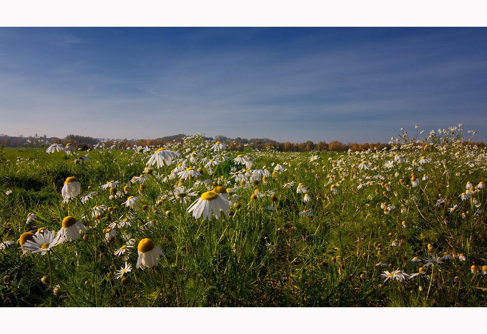 Ein sommerlicher Herbsttag.