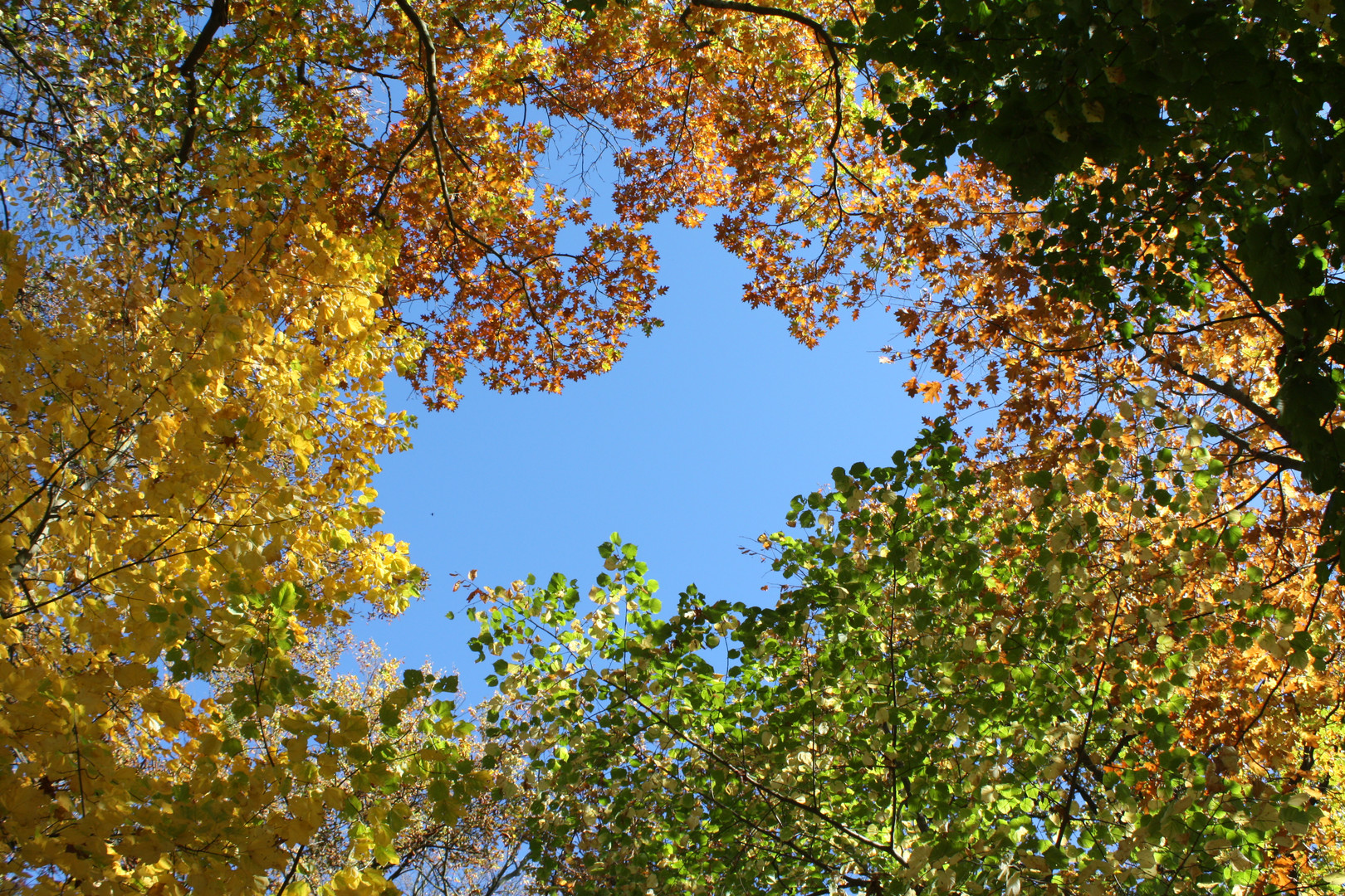 Ein Sommerloch im Herbst