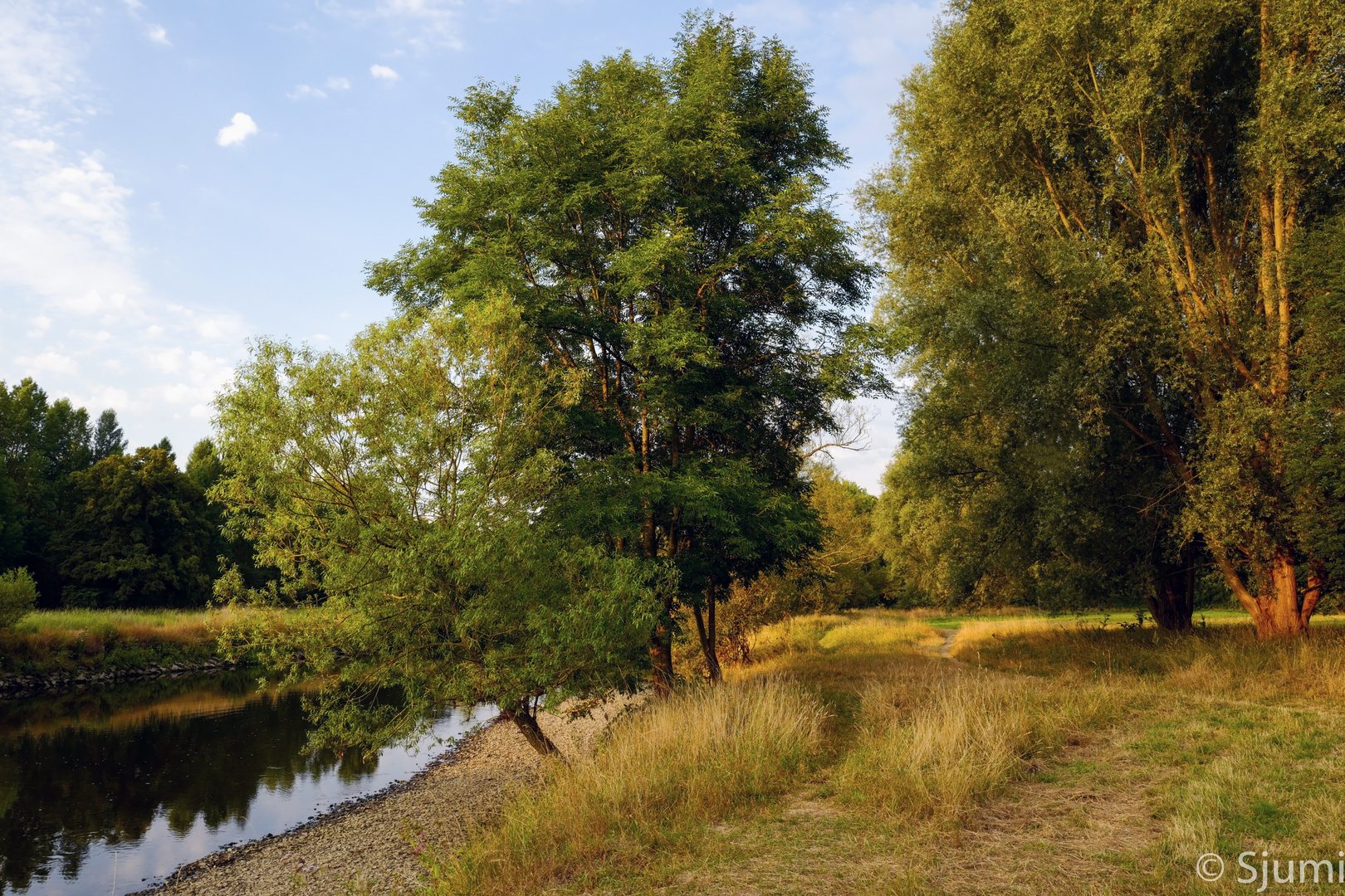 Ein Sommermorgen