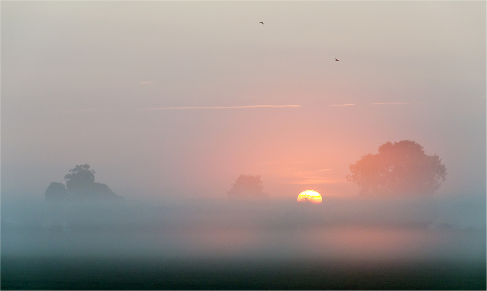 Ein Sommermorgen