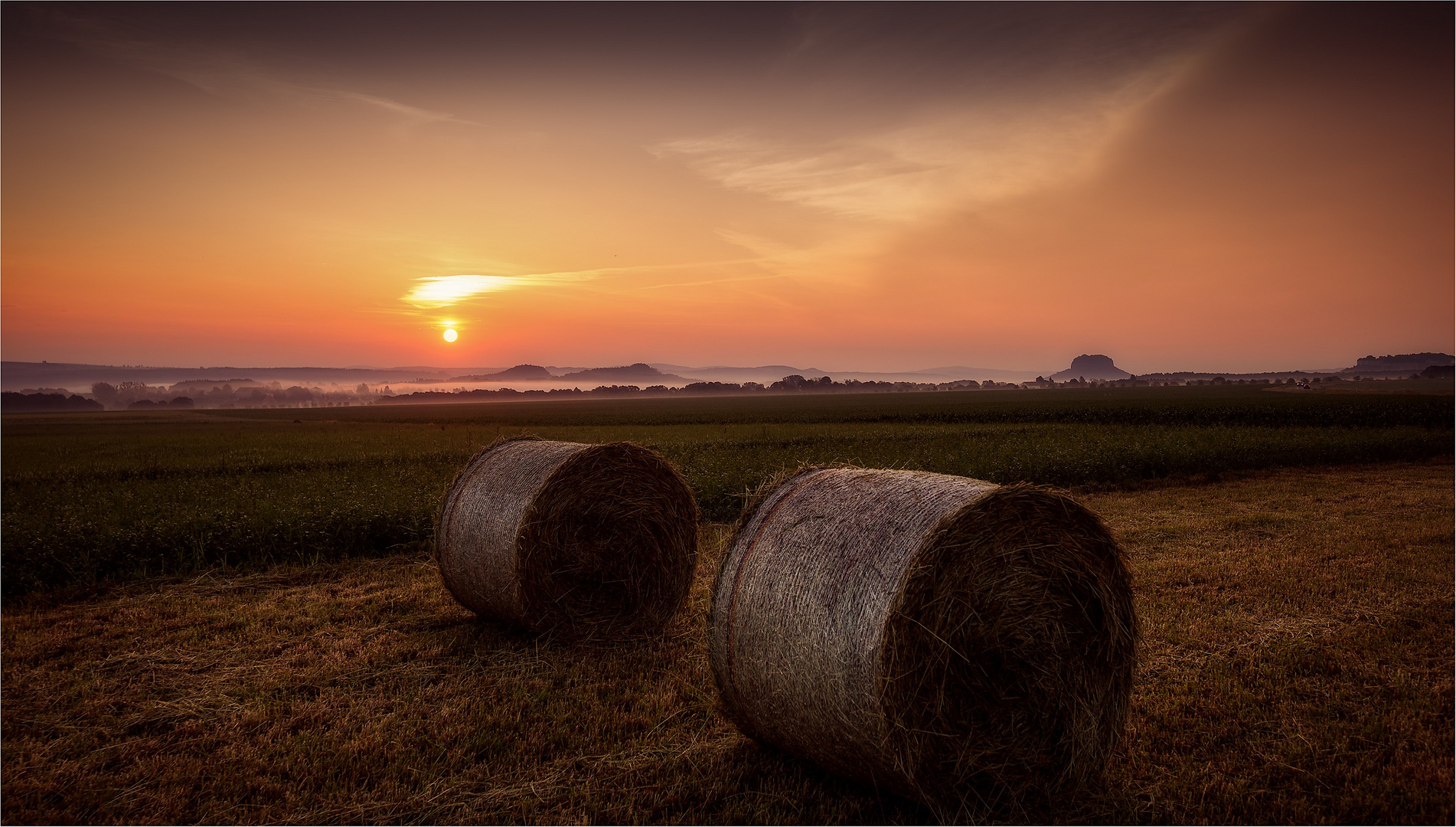 Ein Sommermorgen 