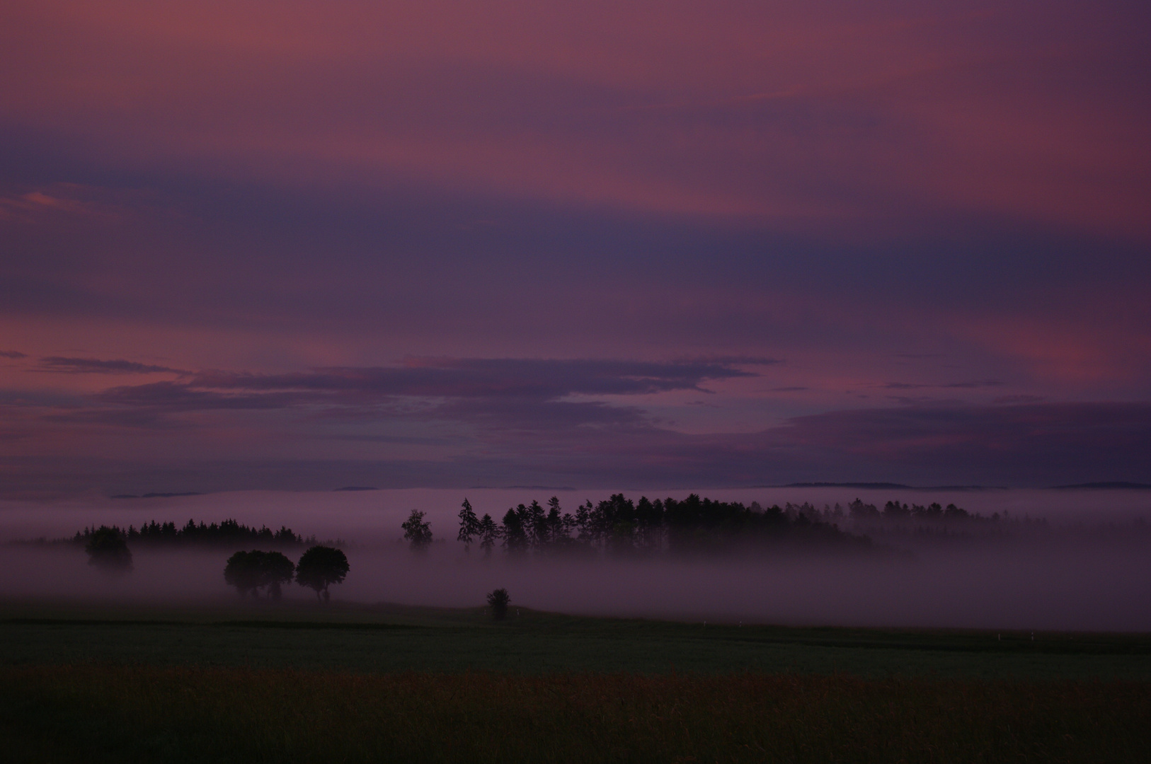 ein Sommermorgen