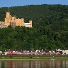 Ein Sommermorgen am Rhein