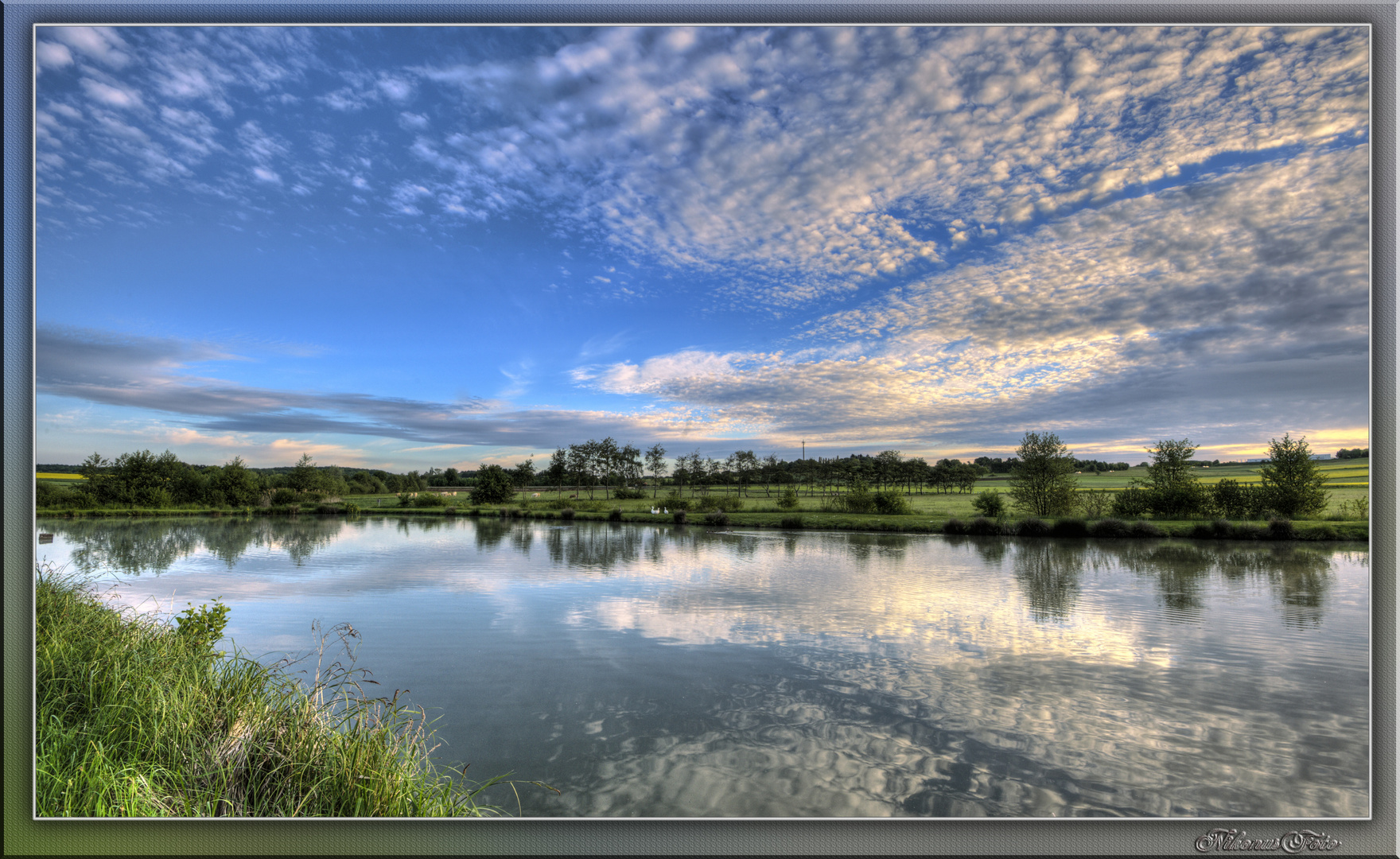 ein Sommermorgen am Teich