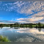 ein Sommermorgen am Teich