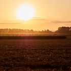 Ein Sommermorgen am Worringer Bruch