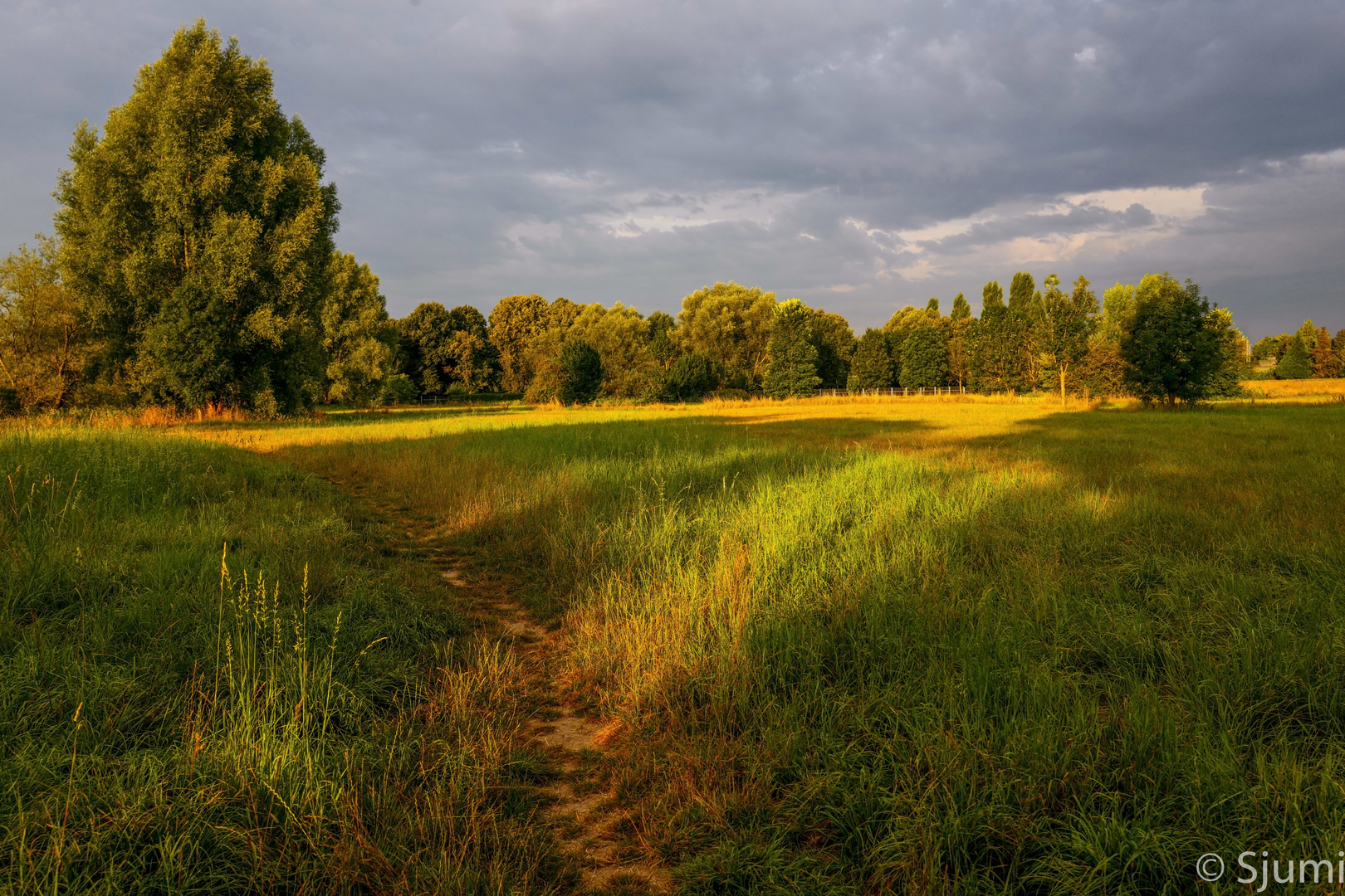 Ein Sommermorgen an der Agger