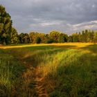 Ein Sommermorgen an der Agger