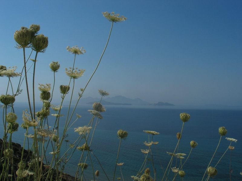 Ein Sommermorgen auf einer griechischen Insel