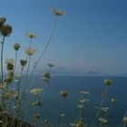 Ein Sommermorgen auf einer griechischen Insel