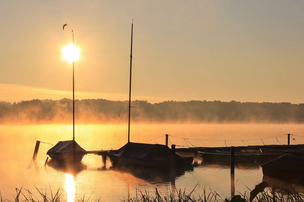 Ein Sommermorgen 