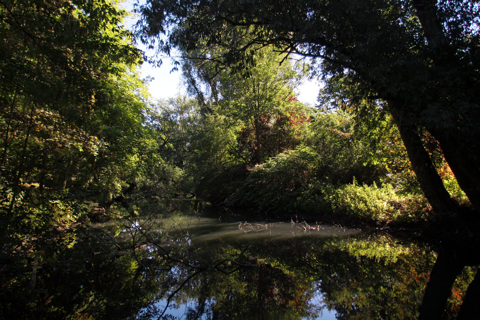 Ein Sommermorgen