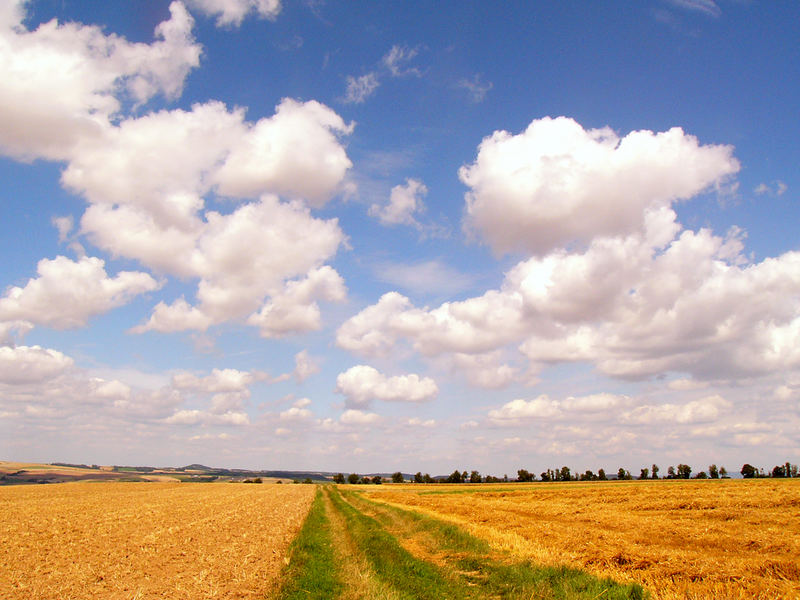 Ein Sommernachmittag