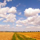 Ein Sommernachmittag