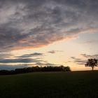 Ein Sommerpanorama