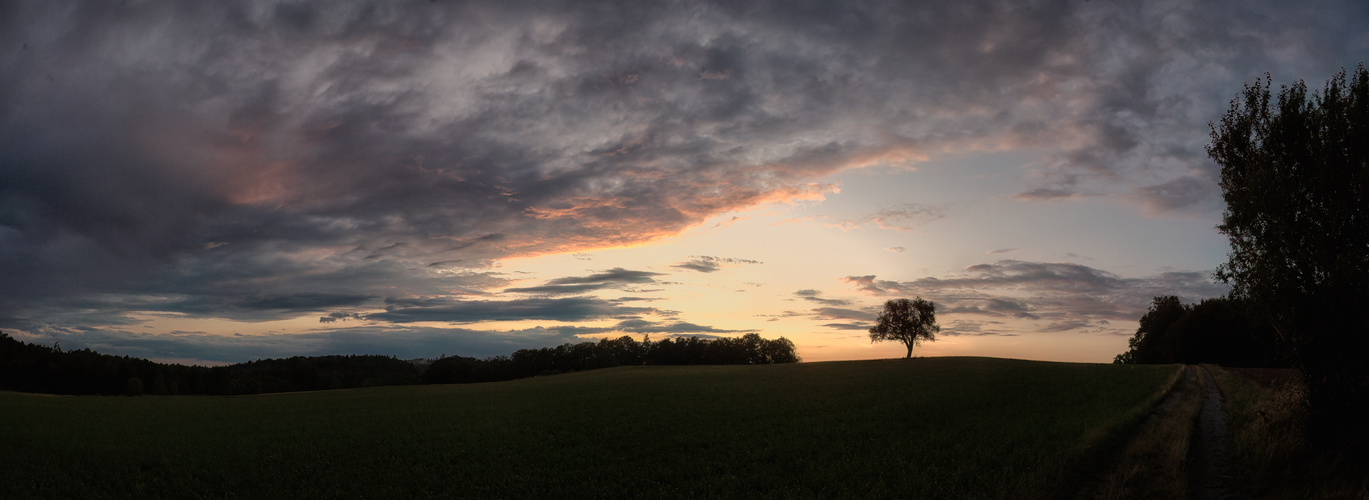 Ein Sommerpanorama