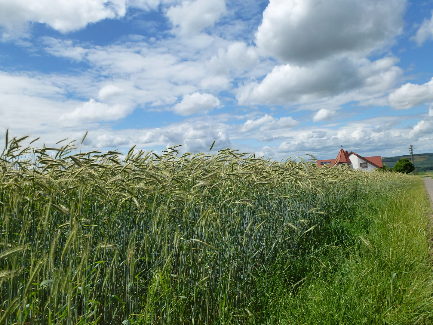 Ein Sommerspaziergang