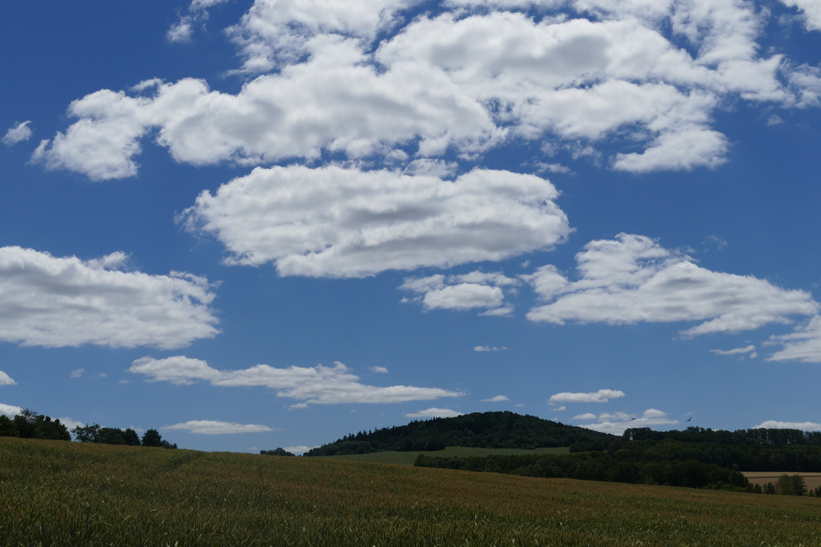 Ein Sommertag