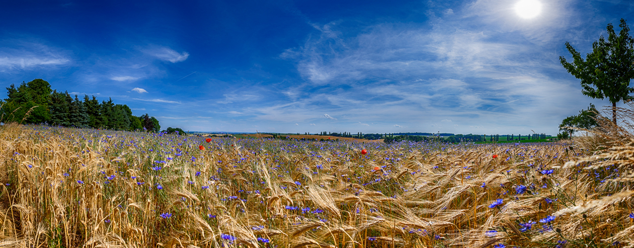 Ein Sommertag