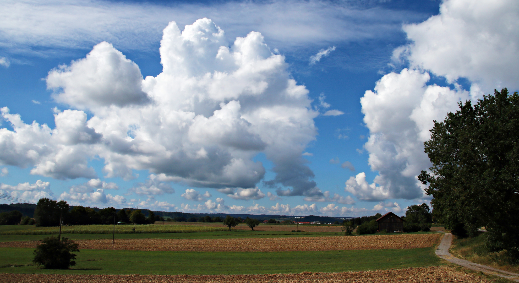 Ein Sommertag