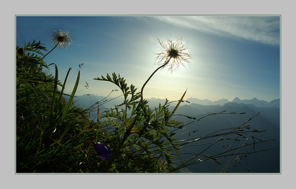 ein sommertag...