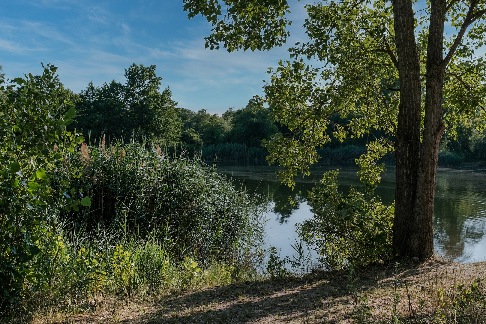 Ein Sommertag