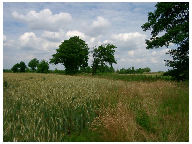 Ein Sommertag