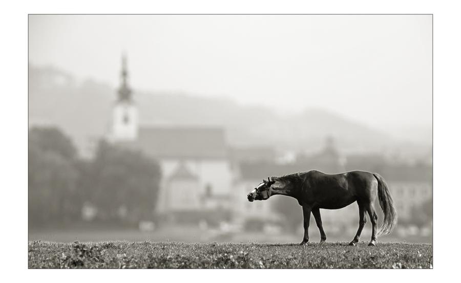 ein Sommertag ...