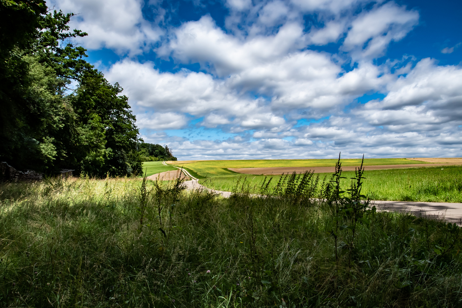 Ein Sommertag