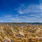 Ein Sommertag