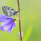 Ein Sommertag