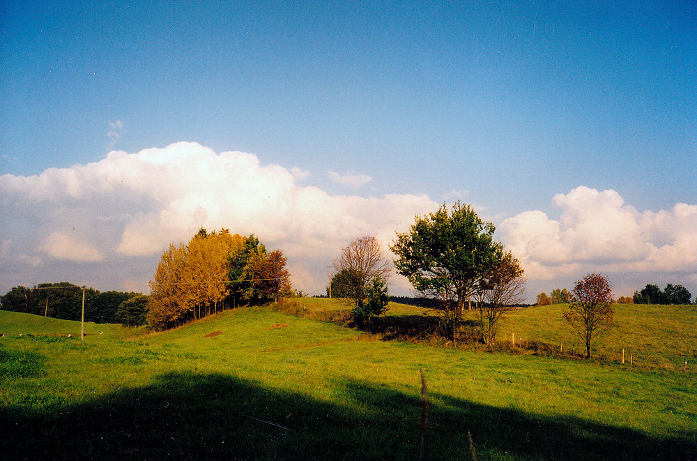 Ein Sommertag