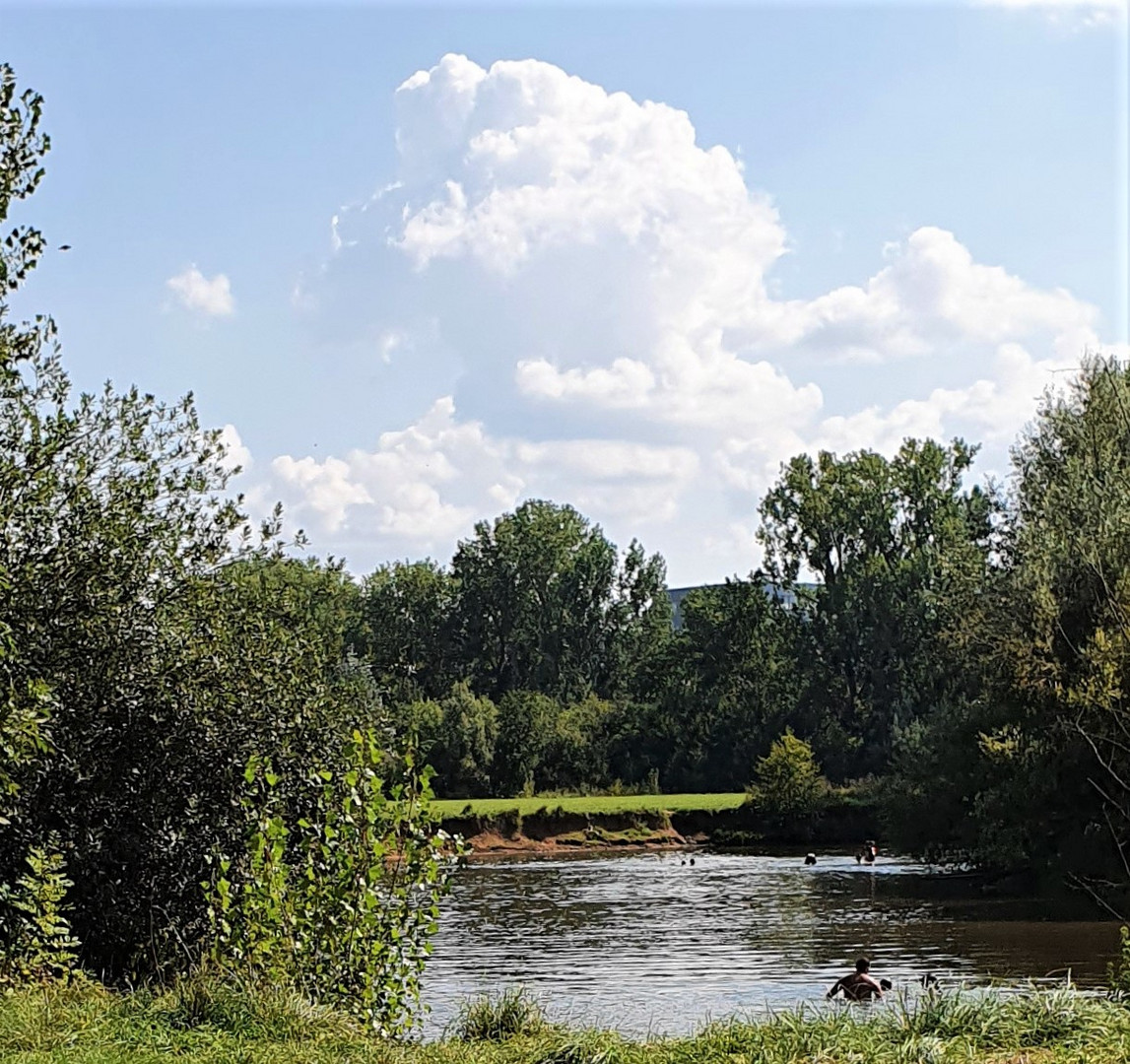 Ein Sommertag am Fluss