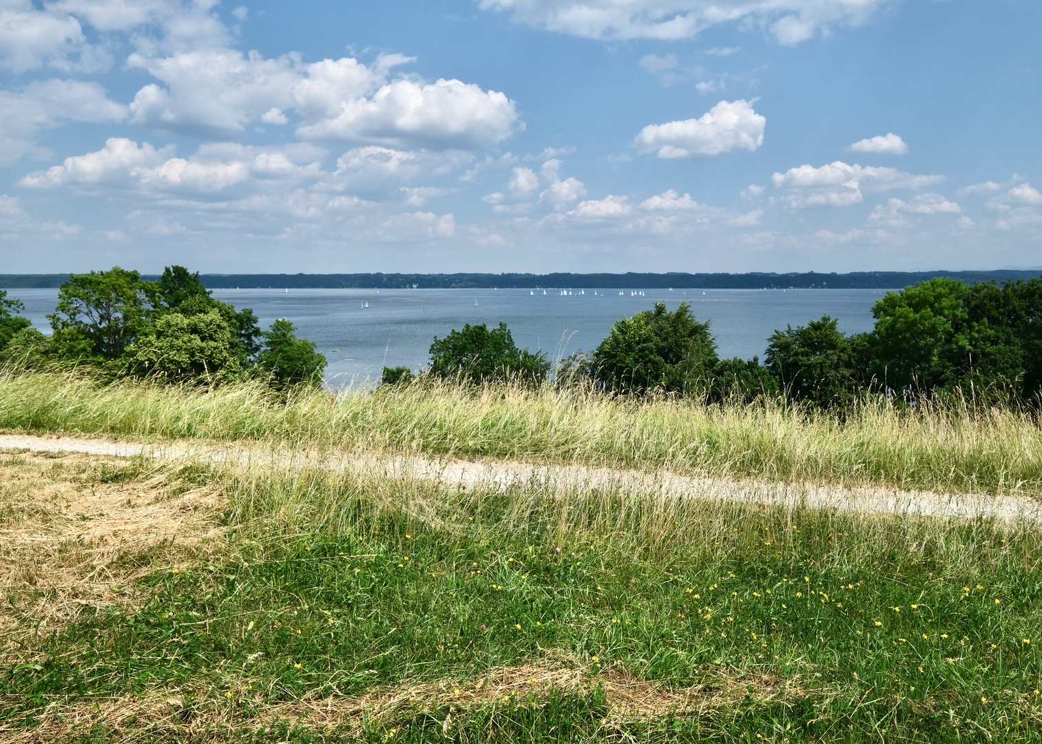 Ein Sommertag am See