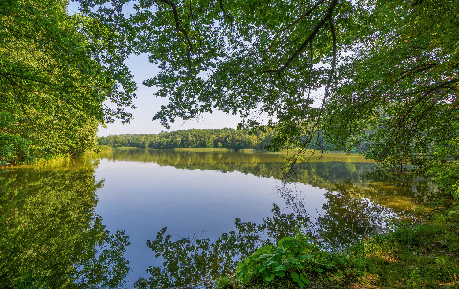 Ein Sommertag am See